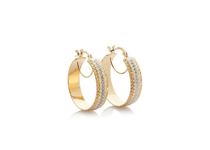 Two Tone Plated | Fashion Earrings